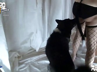 The Video Of You Giving A Doggie Blow Job And Obviously
