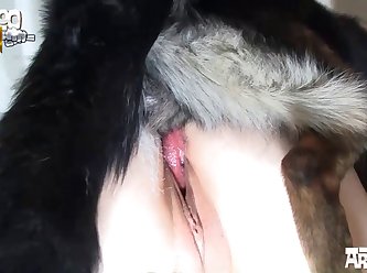 The Video Of You Giving A Doggie Blow Job And Obviously