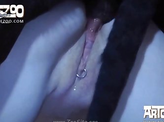 001 Zhd Artofzoo Video Set 2015 022