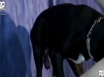 Shelf In Beth's Stall. Starting From Her Neck Down