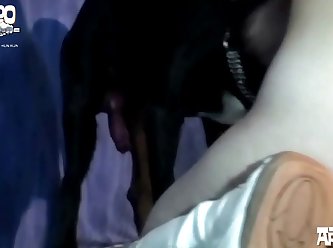 Shelf In Beth's Stall. Starting From Her Neck Down