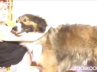 0123 Dgsx Pregnant Active Dog 006